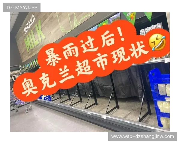 PG超市大血拼手机版技巧助你轻松抢购优惠商品攻略全解析