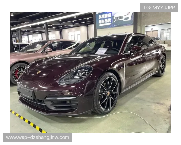 保时捷pg娱乐官网下载安全保障措施,保障玩家账号信息安全无忧 保时捷pg娱乐官网下载安全保障措施,保障玩家账号信息安全无忧