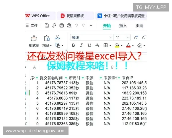 详解PG客户端数据导入流程及常见问题解决方案